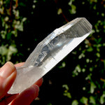 Grounding Lemurian Seed Quartz Crystal