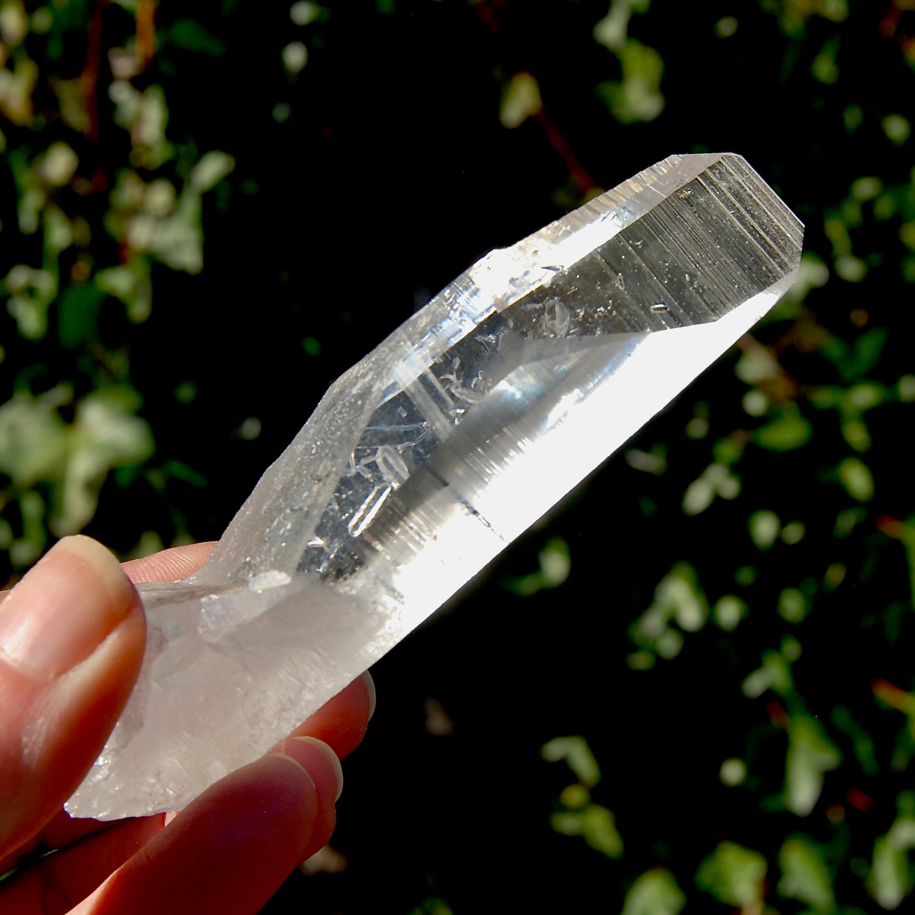 Grounding Lemurian Seed Quartz Crystal
