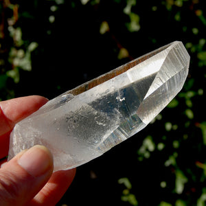 Grounding Lemurian Seed Quartz Crystal