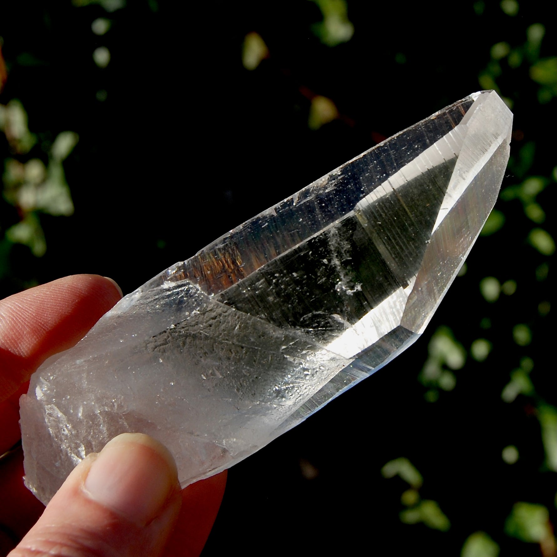 Grounding Lemurian Seed Quartz Crystal