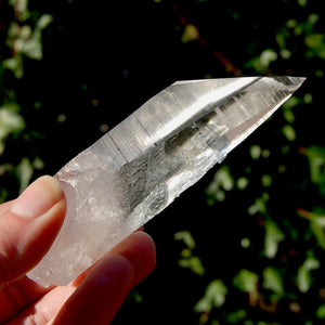 Grounding Lemurian Seed Quartz Crystal