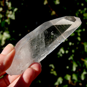 Grounding Lemurian Seed Quartz Crystal