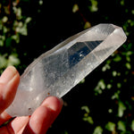 Grounding Lemurian Seed Quartz Crystal