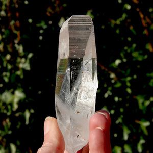 Grounding Lemurian Seed Quartz Crystal