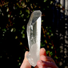 Load image into Gallery viewer, Grounding Lemurian Seed Quartz Crystal
