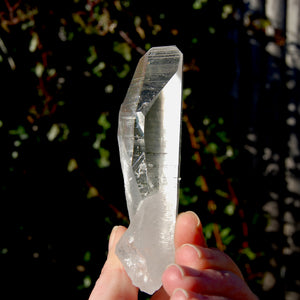 Grounding Lemurian Seed Quartz Crystal