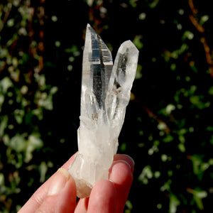 Lemurian Seed Quartz Crystal Cluster