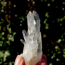 Load image into Gallery viewer, Lemurian Seed Quartz Crystal Cluster
