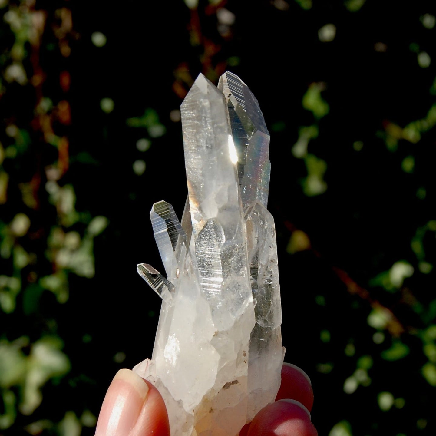 Lemurian Seed Quartz Crystal Cluster