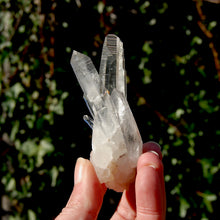 Load image into Gallery viewer, Lemurian Seed Quartz Crystal Cluster
