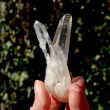 Load image into Gallery viewer, Lemurian Seed Quartz Crystal Cluster
