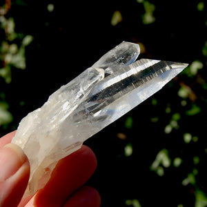 Lemurian Seed Quartz Crystal Cluster