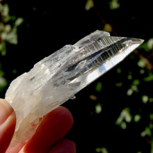 Load image into Gallery viewer, Lemurian Seed Quartz Crystal Cluster
