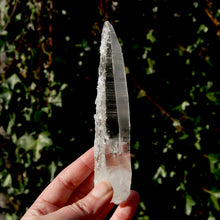 Load image into Gallery viewer, Trigonic Record Keeper Lemurian Seed Quartz Crystal
