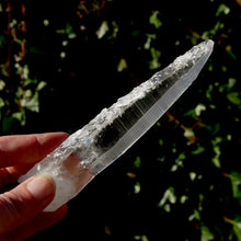 Load image into Gallery viewer, Trigonic Record Keeper Lemurian Seed Quartz Crystal
