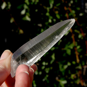 Lemurian Seed Quartz Crystal