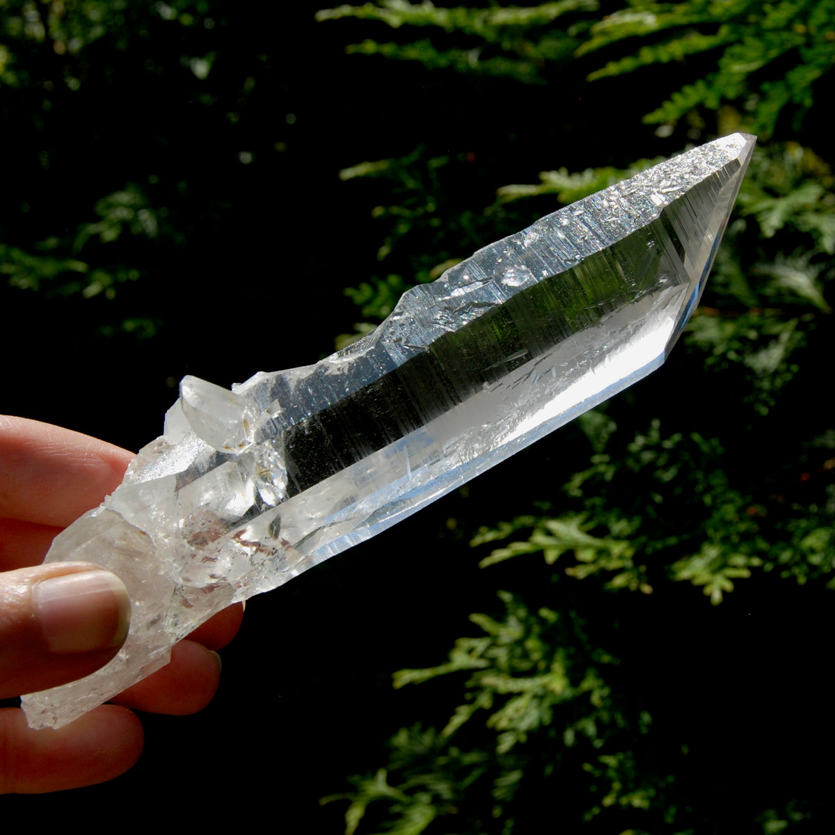 Rare Unique Earthquake Lemurian Quartz Crystal Starbrary, Optical Cross Bridge Crystal, Powerful High Vibration, Colombia
