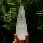 Singing Isis Face Lemurian Seed Quartz Crystal Laser Rosetta Stone Starbrary, Serra do Cabral, Brazil