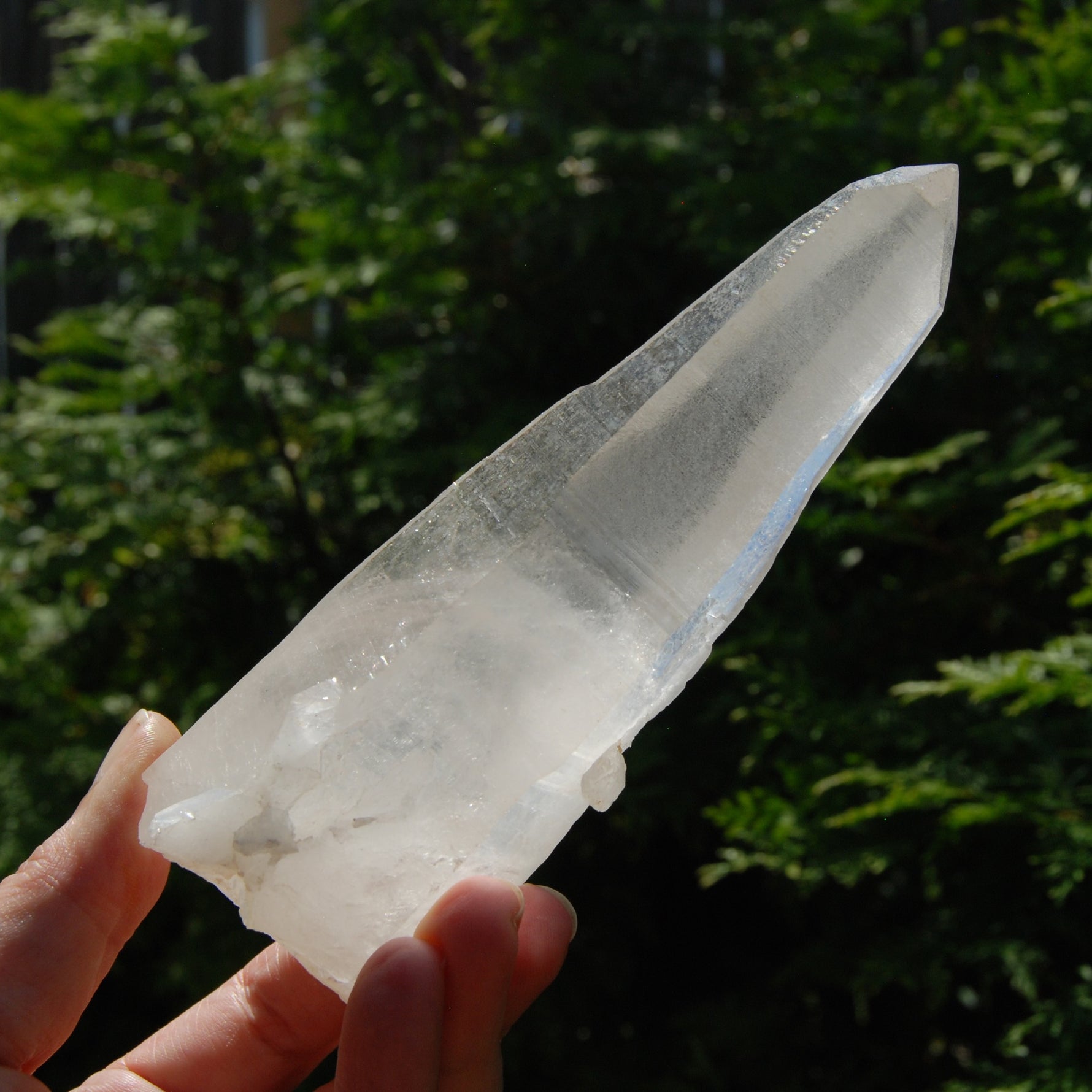 Singing Isis Face Lemurian Seed Quartz Crystal Laser Rosetta Stone Starbrary, Serra do Cabral, Brazil