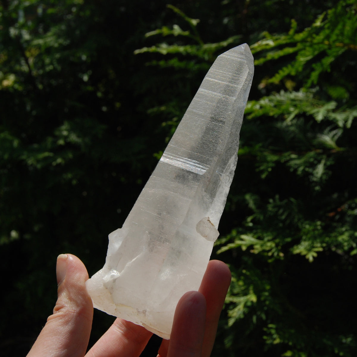 Singing Isis Face Lemurian Seed Quartz Crystal Laser Rosetta Stone Starbrary, Serra do Cabral, Brazil