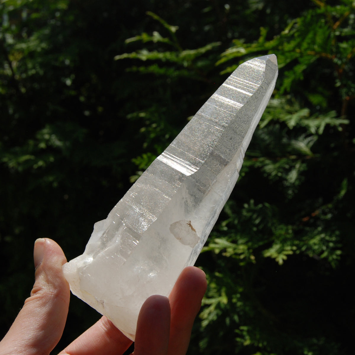 Singing Isis Face Lemurian Seed Quartz Crystal Laser Rosetta Stone Starbrary, Serra do Cabral, Brazil