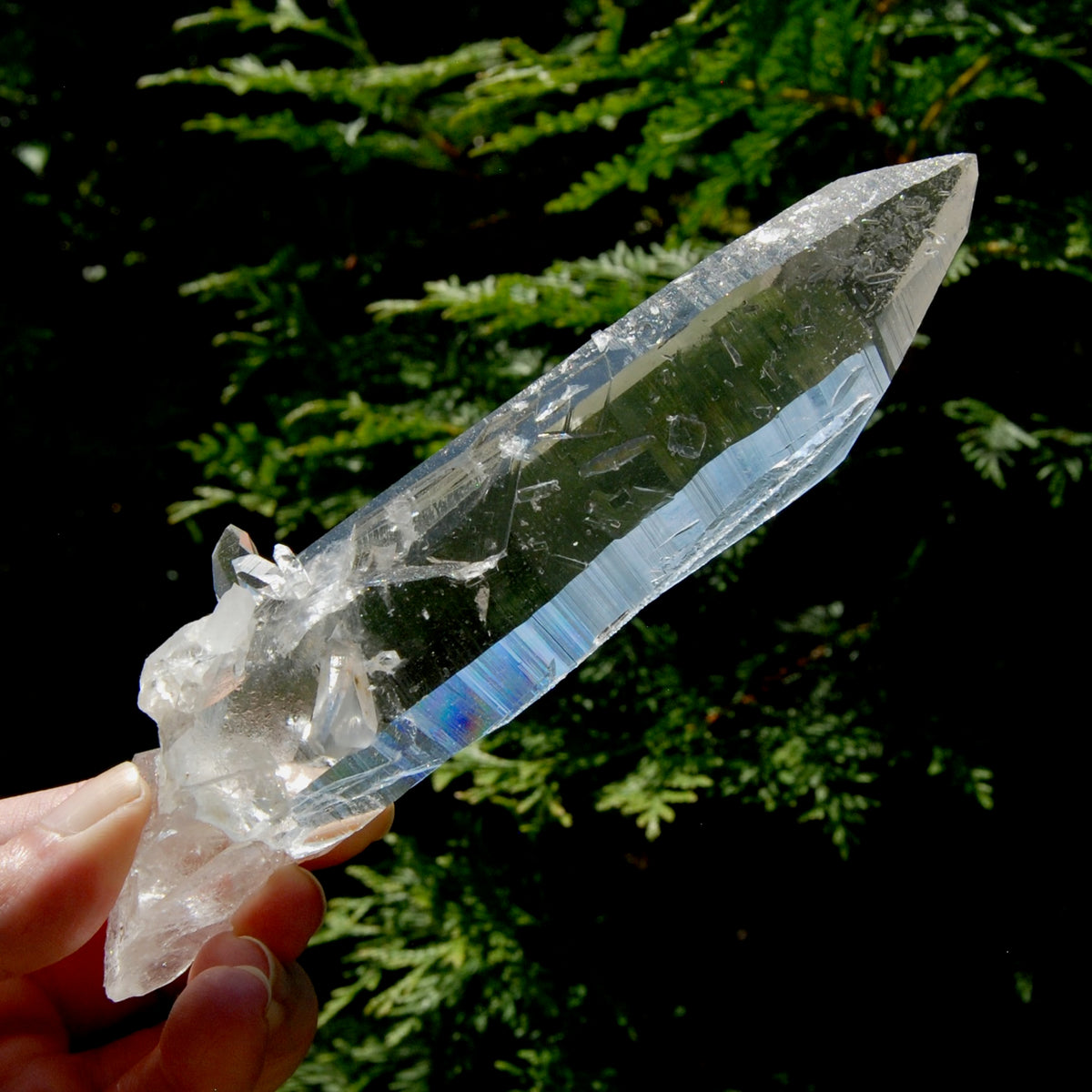 Rare Unique Earthquake Lemurian Quartz Crystal Starbrary, Optical Cross Bridge Crystal, Powerful High Vibration, Colombia