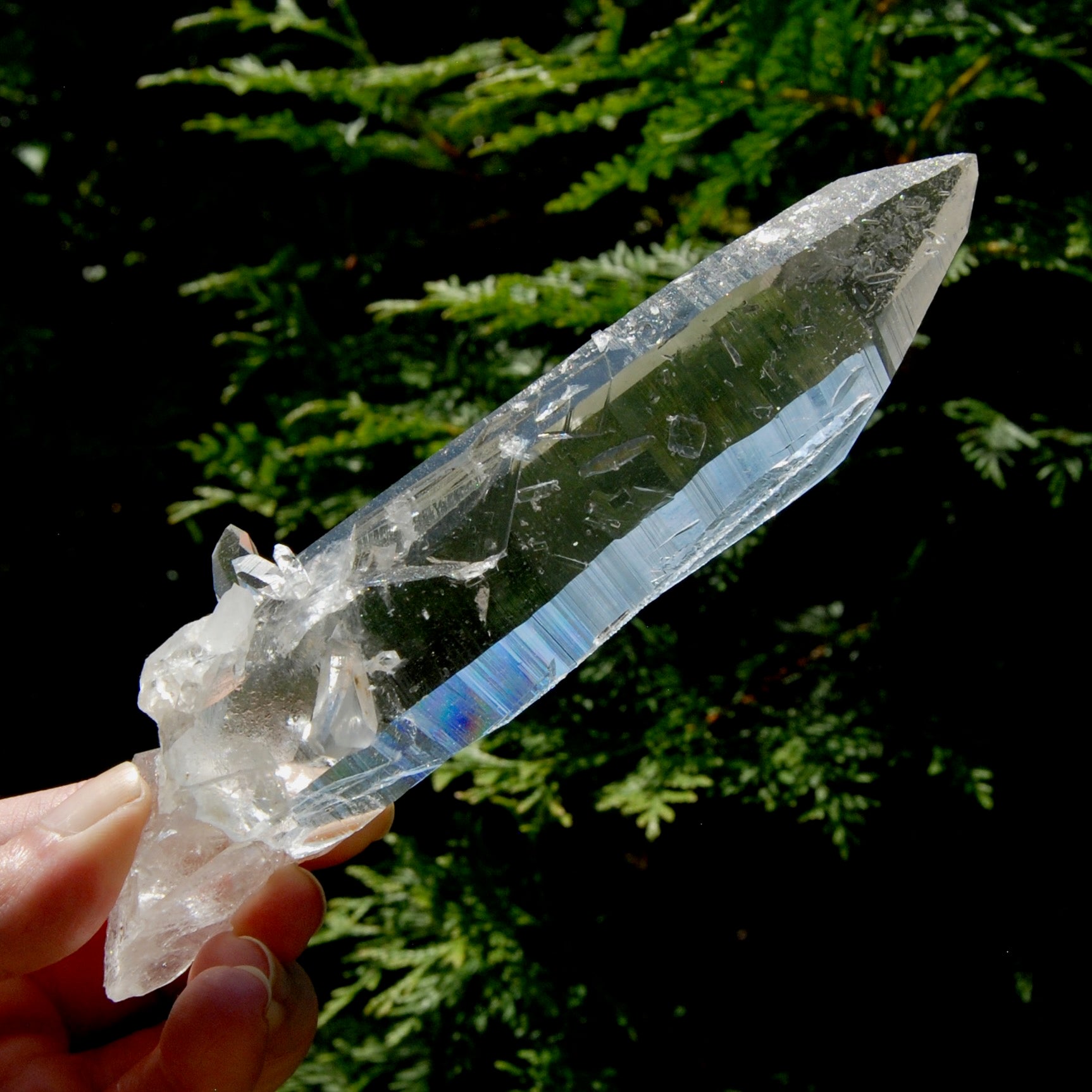 Rare Unique Earthquake Lemurian Quartz Crystal Starbrary, Optical Cross Bridge Crystal, Powerful High Vibration, Colombia
