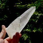 Singing Isis Face Lemurian Seed Quartz Crystal Laser Rosetta Stone Starbrary, Serra do Cabral, Brazil