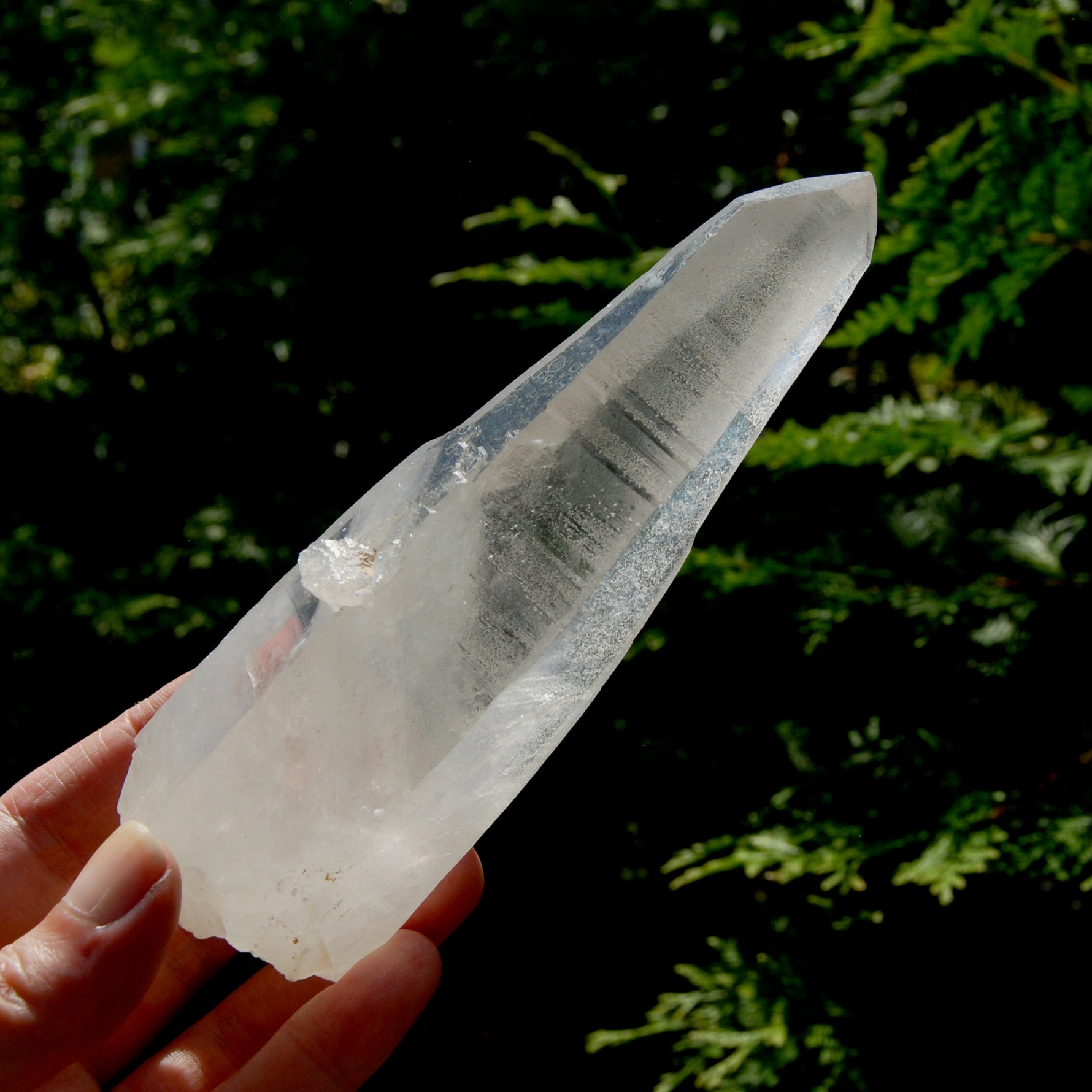Singing Isis Face Lemurian Seed Quartz Crystal Laser Rosetta Stone Starbrary, Serra do Cabral, Brazil