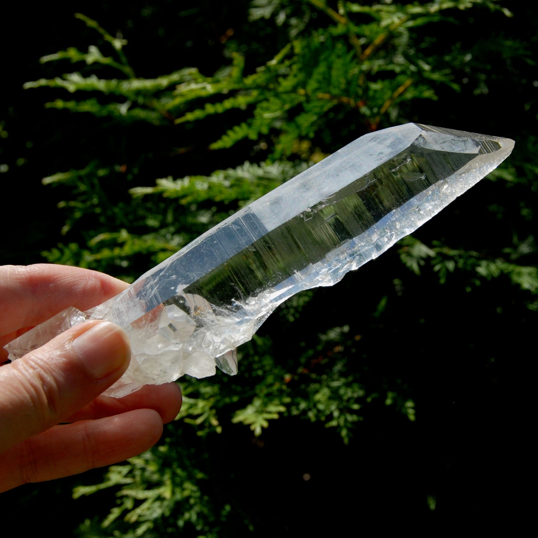 Rare Unique Earthquake Lemurian Quartz Crystal Starbrary, Optical Cross Bridge Crystal, Powerful High Vibration, Colombia