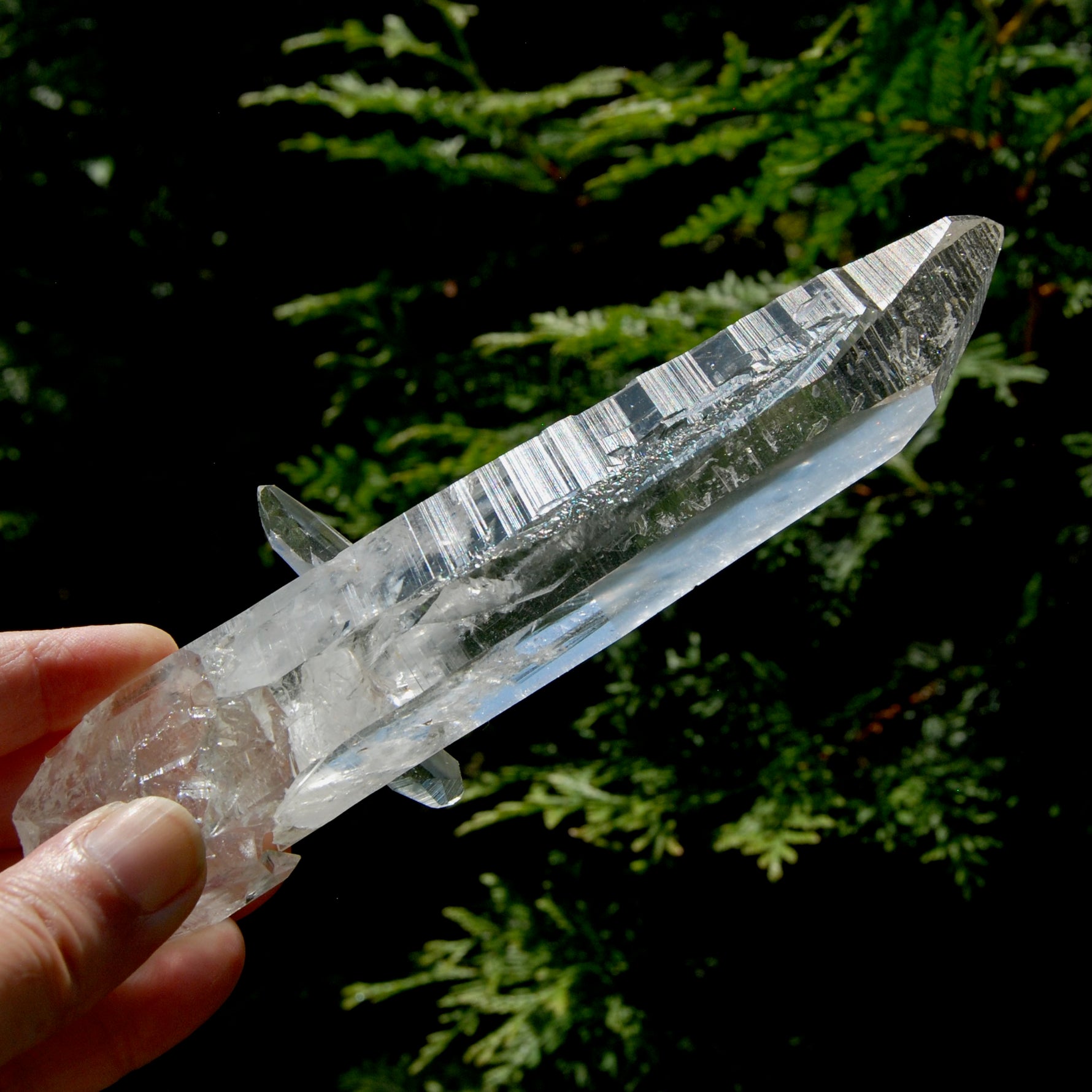Rare Unique Earthquake Lemurian Quartz Crystal Starbrary, Optical Cross Bridge Crystal, Powerful High Vibration, Colombia