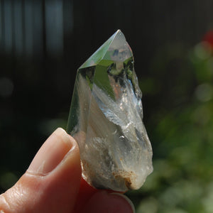 Blue Amphibole Quartz Crystal