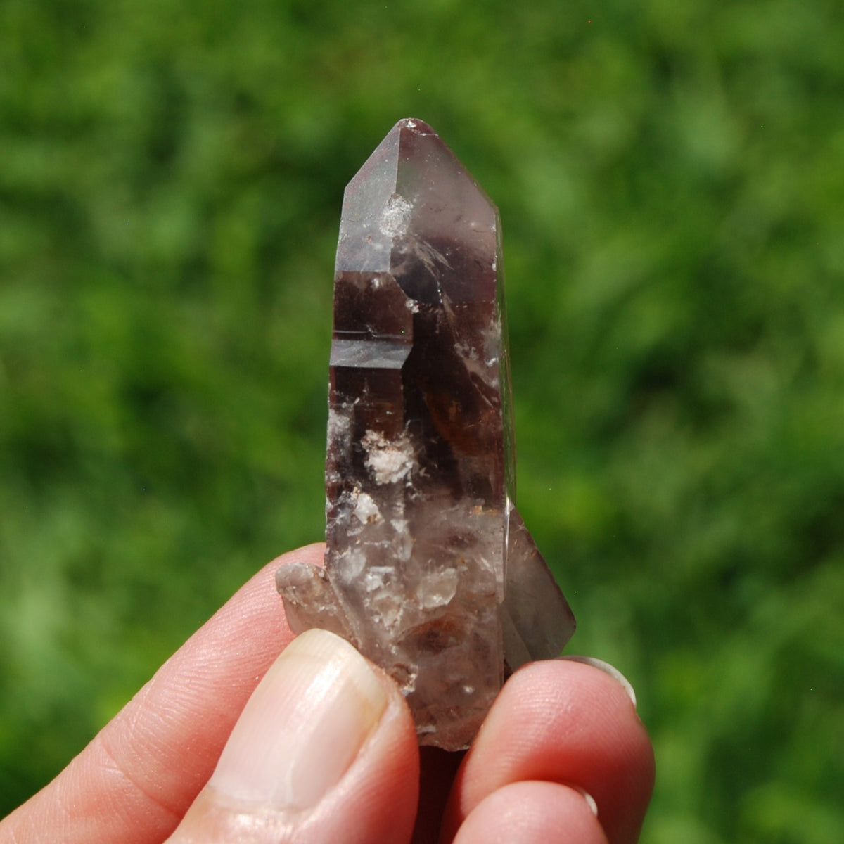 Purple Lithium Lemurian Quartz Crystal Starbrary