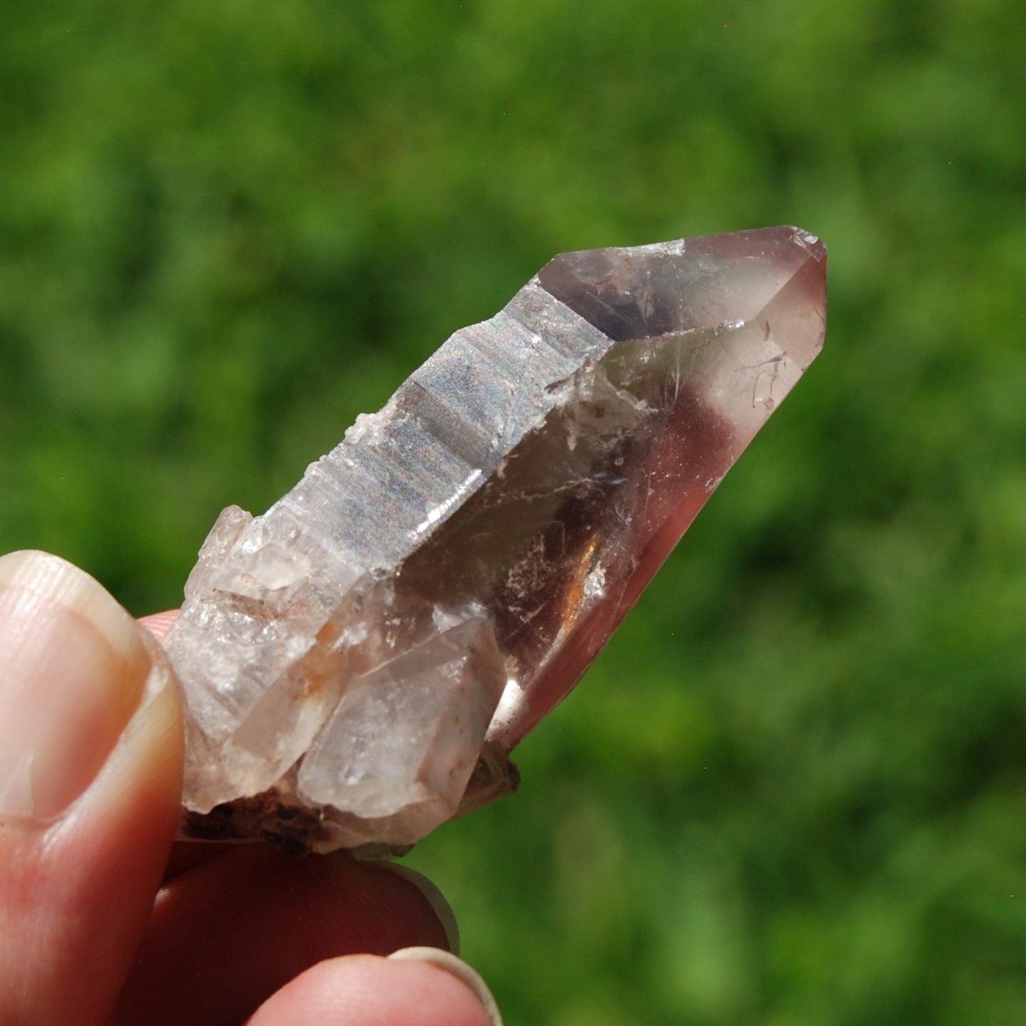 Purple Lithium Lemurian Quartz Crystal Starbrary