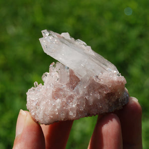 Pink Faden Quartz x Lemurian Crystal Cluster