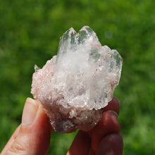 Load image into Gallery viewer, Pink Faden Quartz x Lemurian Crystal Cluster
