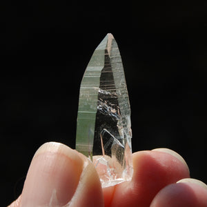 Lemurian Seed Quartz Crystal