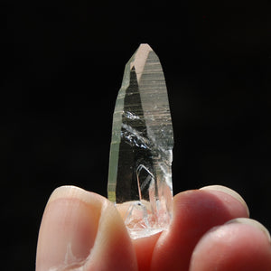 Lemurian Seed Quartz Crystal