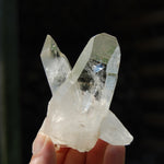 Tantric TWIN FLAME Soulmate Colombian Lemurian Seed Crystal Cluster