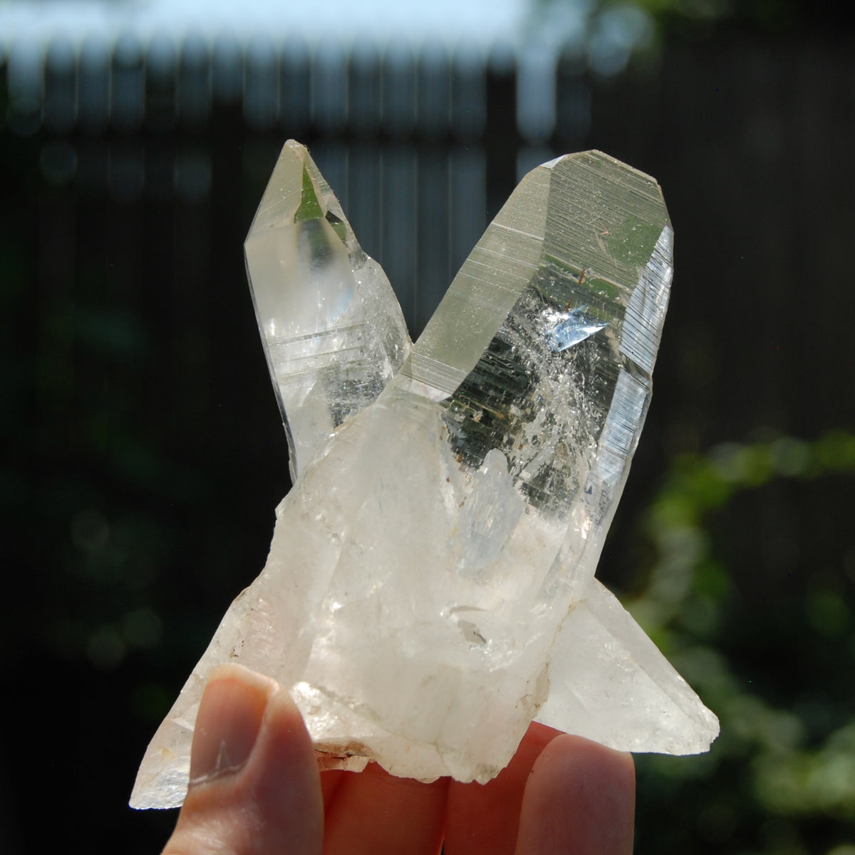 Tantric TWIN FLAME Soulmate Colombian Lemurian Seed Crystal Cluster