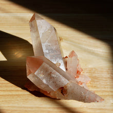 Load image into Gallery viewer, Pink Shadow Smoky Lemurian Seed Quartz Crystal Starbrary Cluster\

