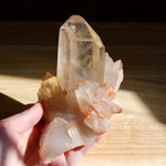 Pink Shadow Smoky Lemurian Seed Quartz Crystal Starbrary Cluster