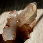 Pink Shadow Smoky Lemurian Seed Quartz Crystal Starbrary Cluster