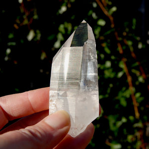 Tantric Twin Lemurian Seed Quartz Crystal