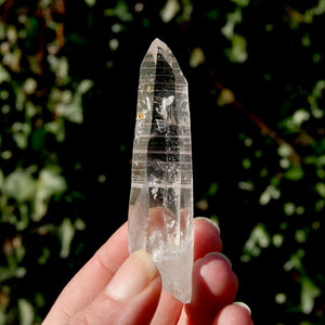 Colombian Lemurian Seed Quartz Crystal Laser Starbrary Bridge, Peñas Blancas