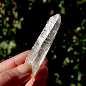 Colombian Lemurian Seed Quartz Crystal Laser Starbrary Bridge, Peñas Blancas