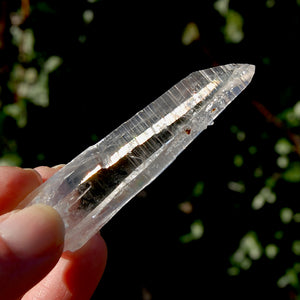 Colombian Lemurian Seed Quartz Crystal Laser Starbrary Bridge, Peñas Blancas