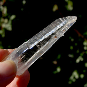 Colombian Lemurian Seed Quartz Crystal Laser Starbrary Bridge, Peñas Blancas