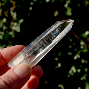 Colombian Lemurian Seed Quartz Crystal Laser Starbrary Bridge, Peñas Blancas