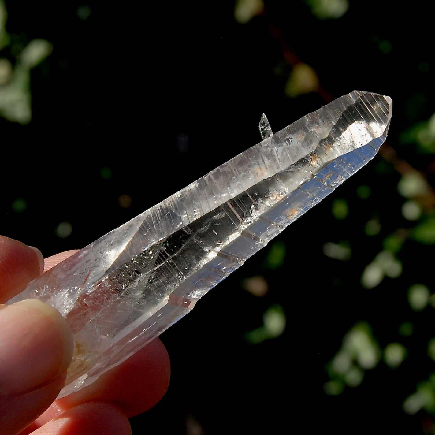 Colombian Lemurian Seed Quartz Crystal Laser Starbrary Bridge, Peñas Blancas